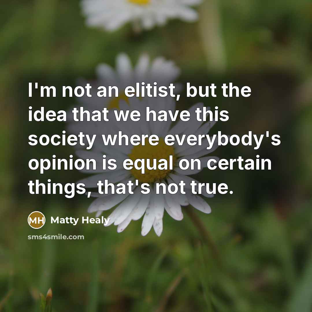 “I'm not an elitist, but the idea that we have this society where everybody's opinion is equal on certain things, that's not true.” quote by Matty Healy