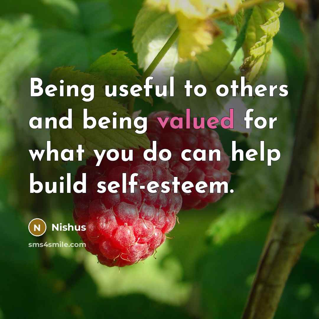 “Being useful to others and being valued for what you…” quote by Nishus