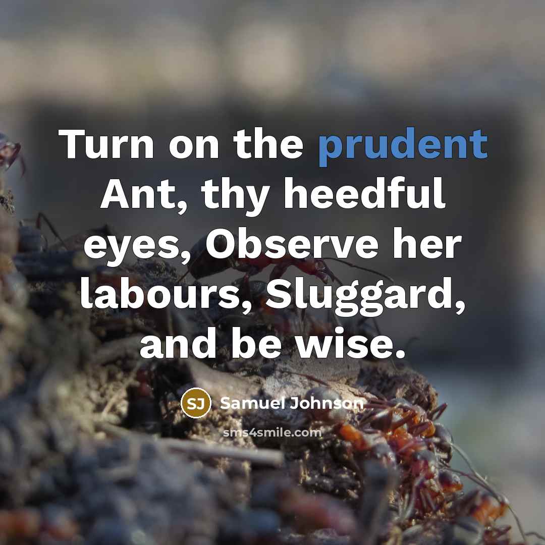 “Turn on the prudent Ant, thy heedful eyes, Observe her…” quote by Samuel Johnson