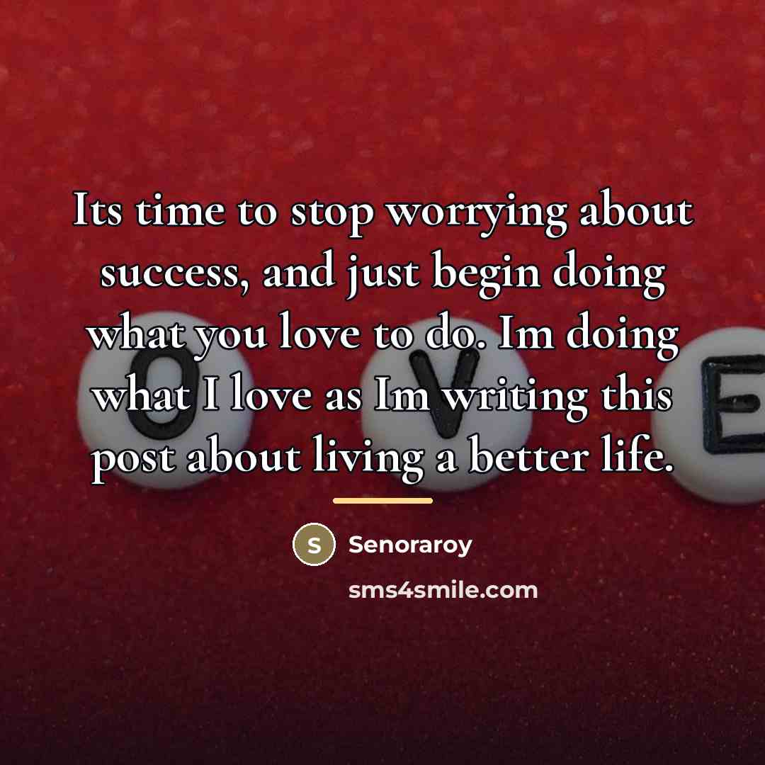 “Its time to stop worrying about success, and just begin…” quote by Senoraroy
