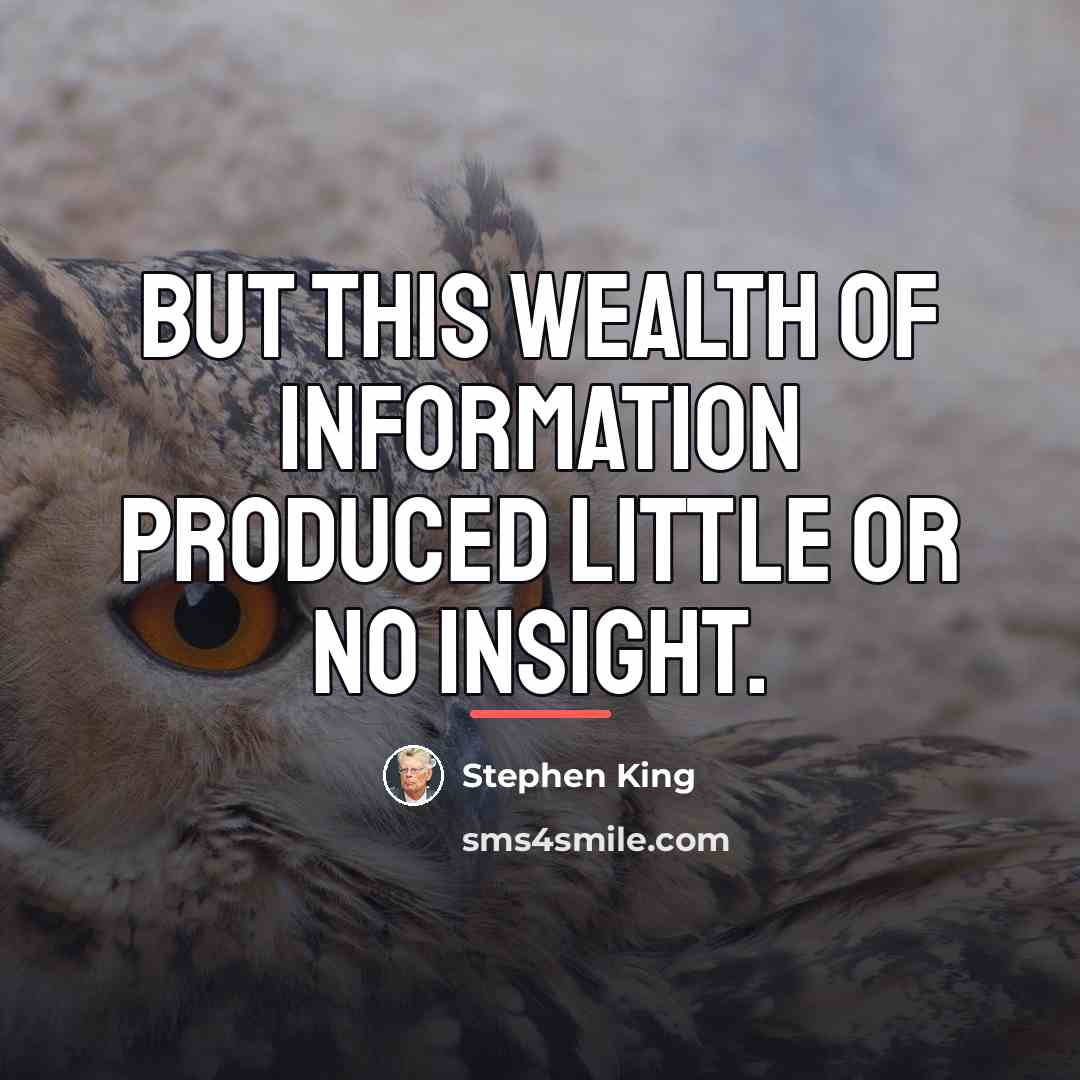 “But this wealth of information produced little or no insight.…” quote by Stephen King
