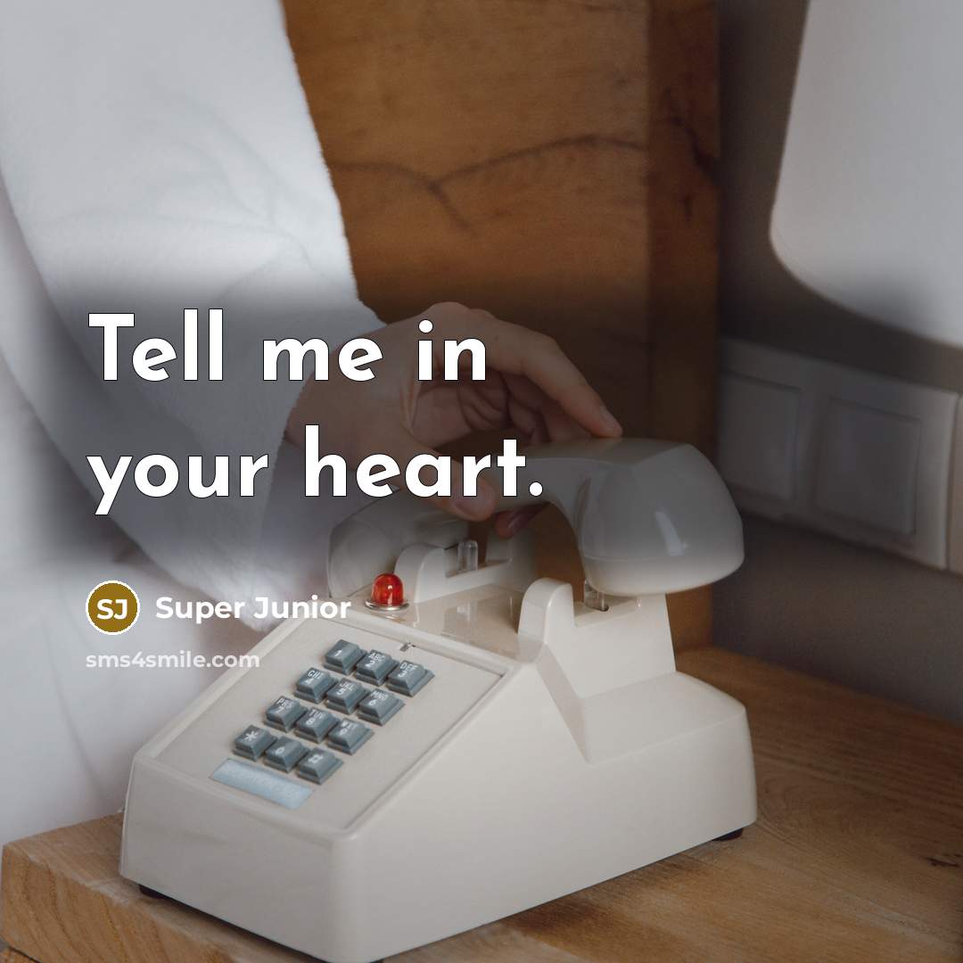 “Tell me in your heart.…” quote by Super Junior