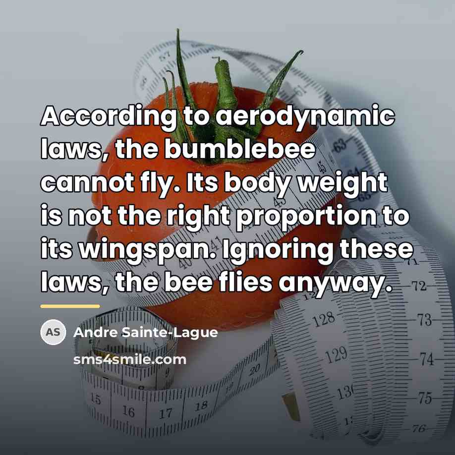 “According to aerodynamic laws, the bumblebee cannot fly. Its body…” quote by Andre Sainte-Lague