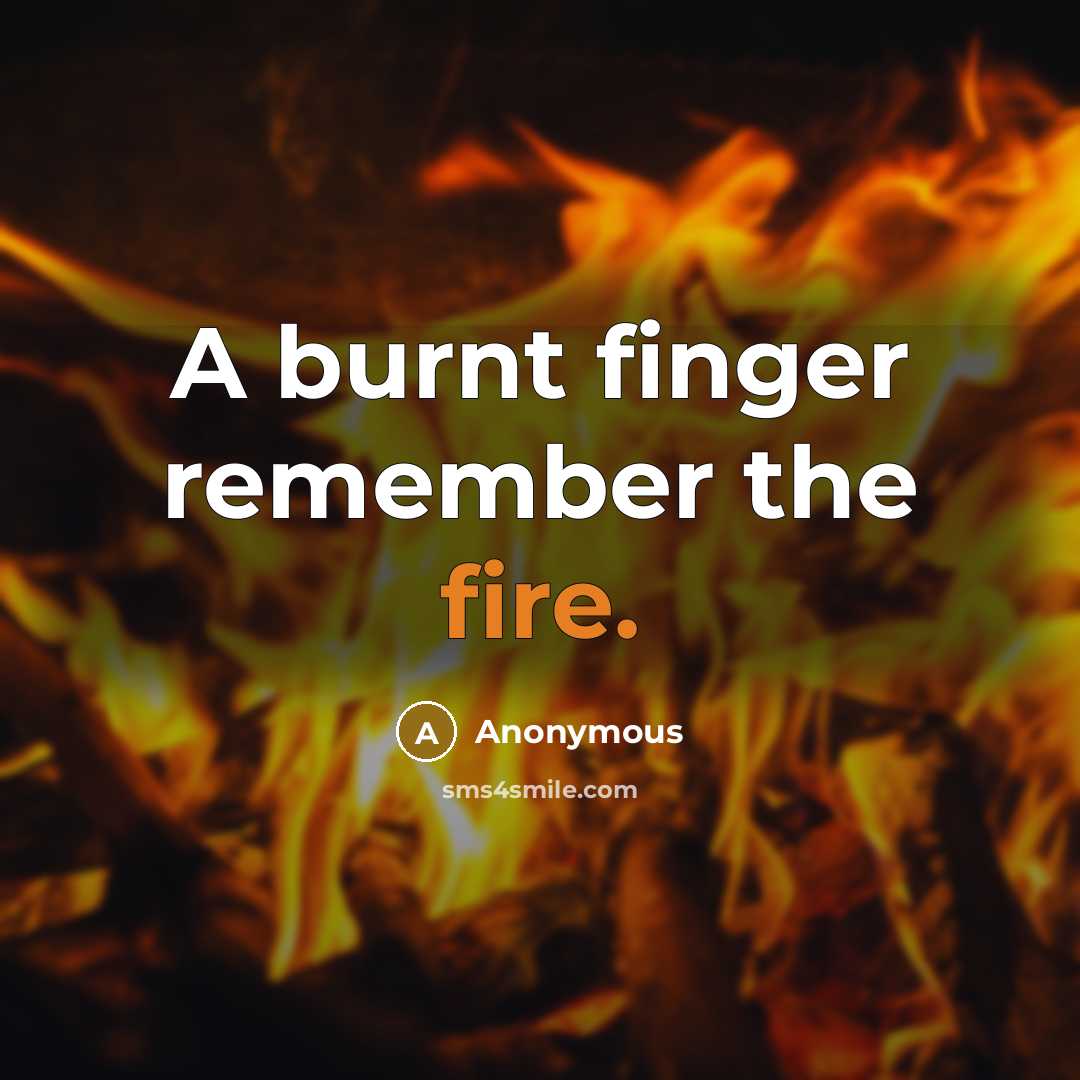 “A burnt finger remember the fire.” quote by Anonymous