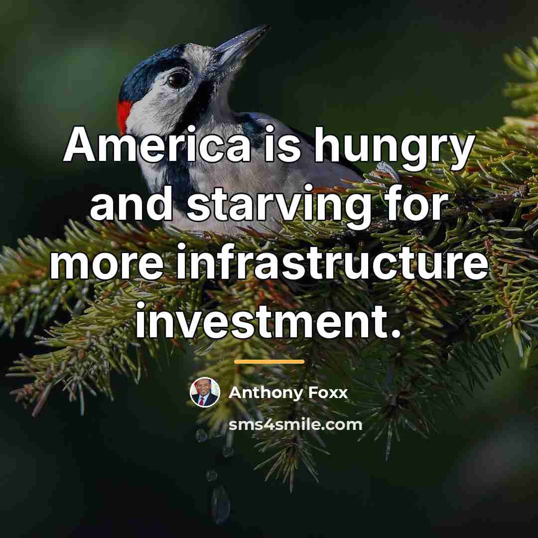 “America is hungry and starving for more infrastructure investment.…” quote by Anthony Foxx