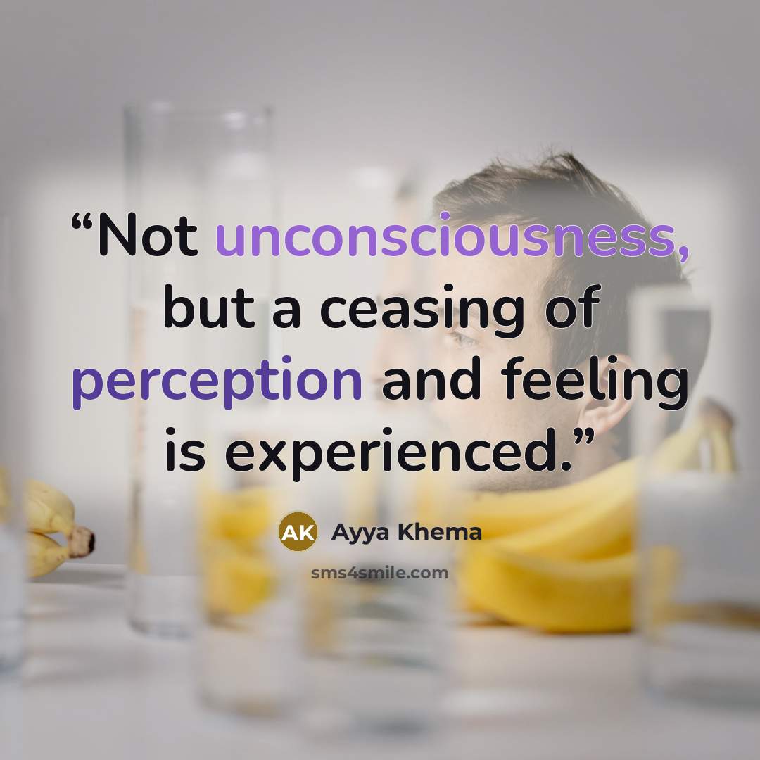 “Not unconsciousness, but a ceasing of perception and feeling is experienced.” quote by Ayya Khema