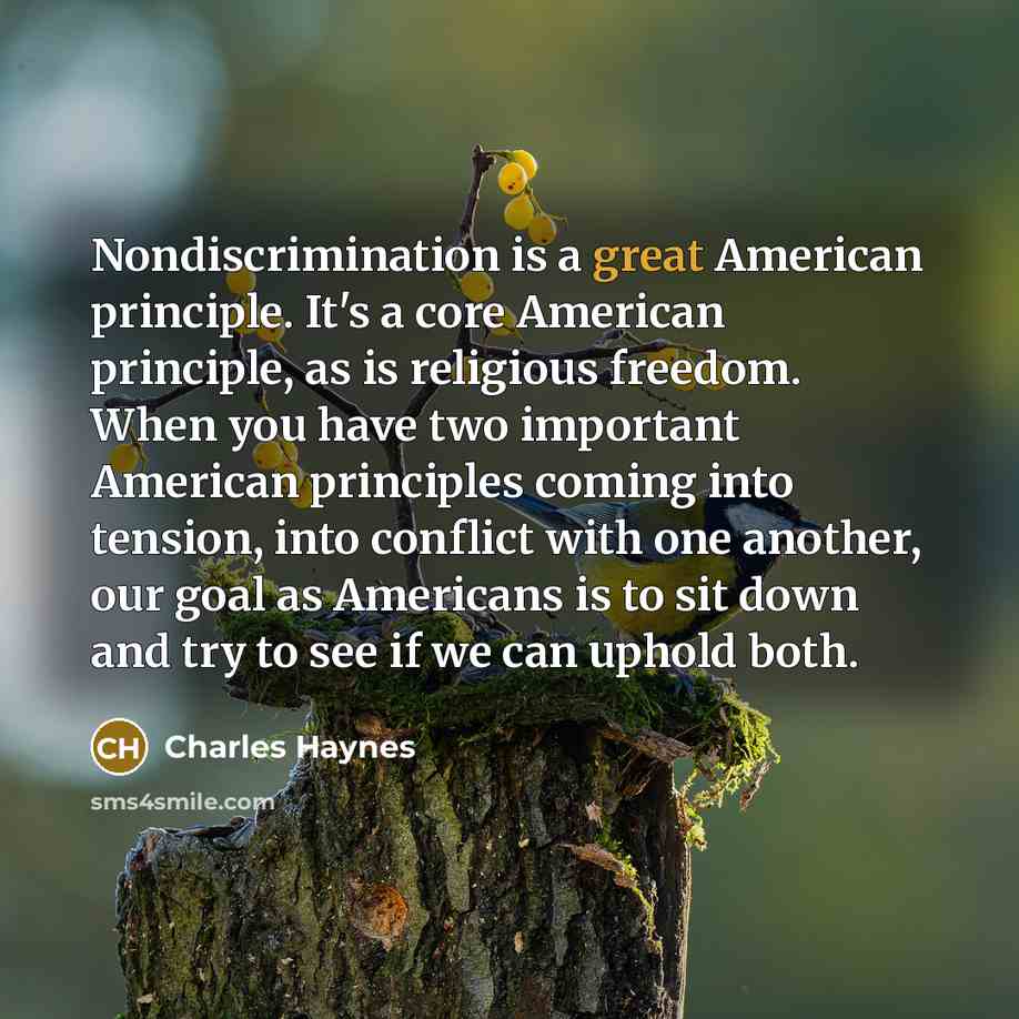 “Nondiscrimination is a great American principle. It's a core American…” quote by Charles Haynes