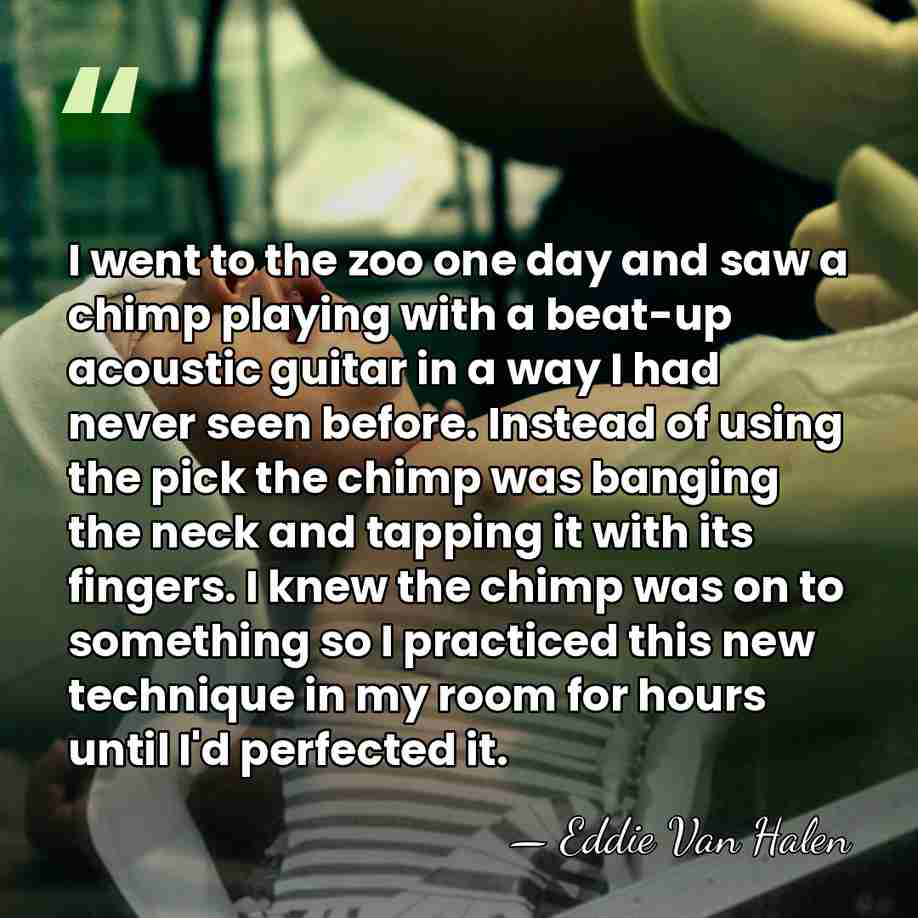 I went to the zoo one day and saw a chimp playing&hellip; - Eddie Van Halen