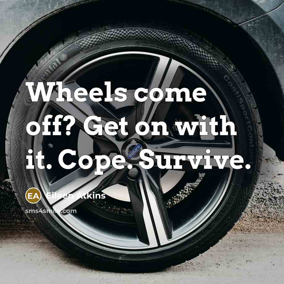 “Wheels come off? Get on with it. Cope. Survive.…” quote by Eileen Atkins