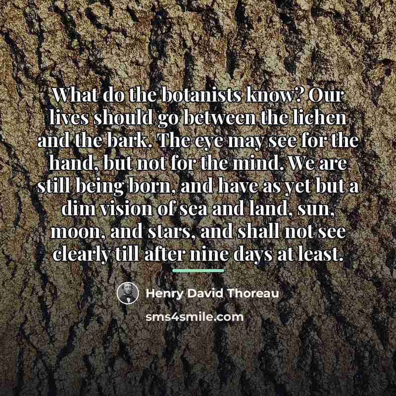 “What do the botanists know? Our lives should go between…” quote by Henry David Thoreau