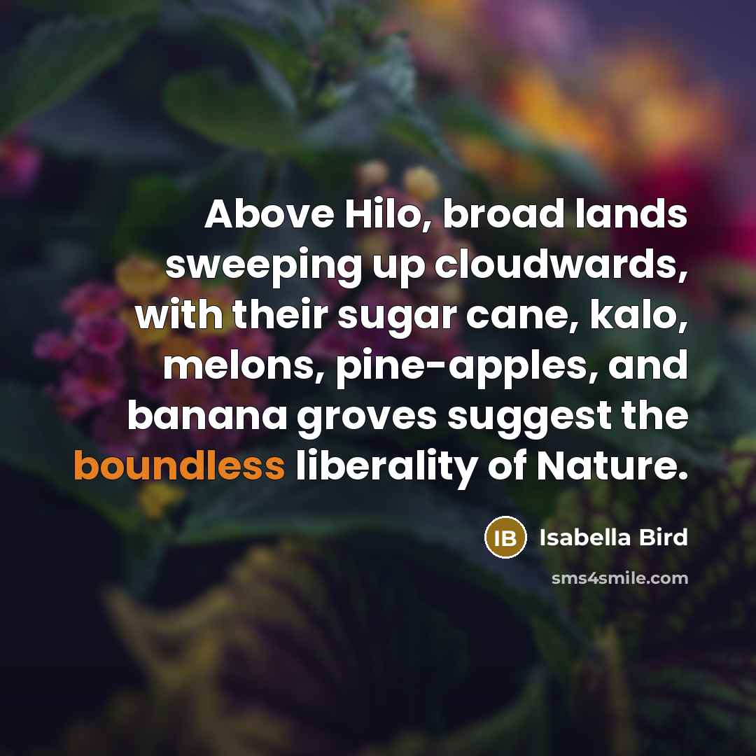 “Above Hilo, broad lands sweeping up cloudwards, with their sugar…” quote by Isabella Bird