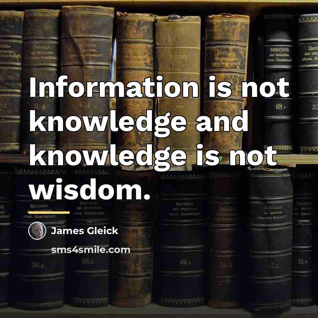 “Information is not knowledge and knowledge is not wisdom.…” quote by James Gleick