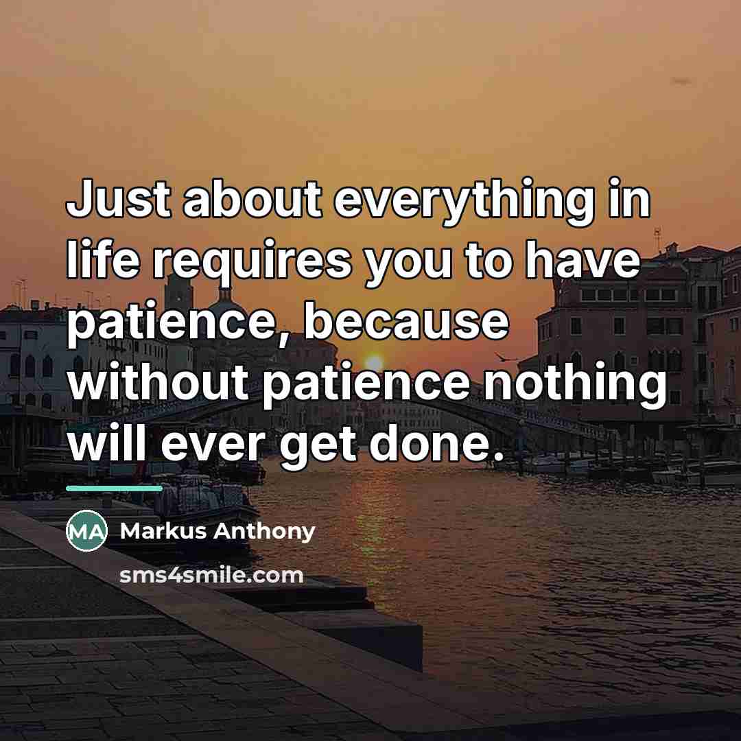 “Just about everything in life requires you to have patience,…” quote by Markus Anthony
