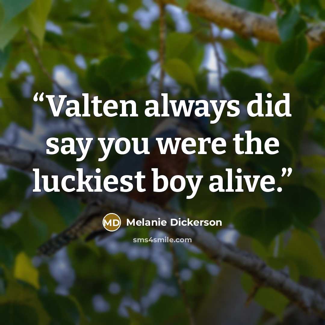 “Valten always did say you were the luckiest boy alive.” quote by Melanie Dickerson