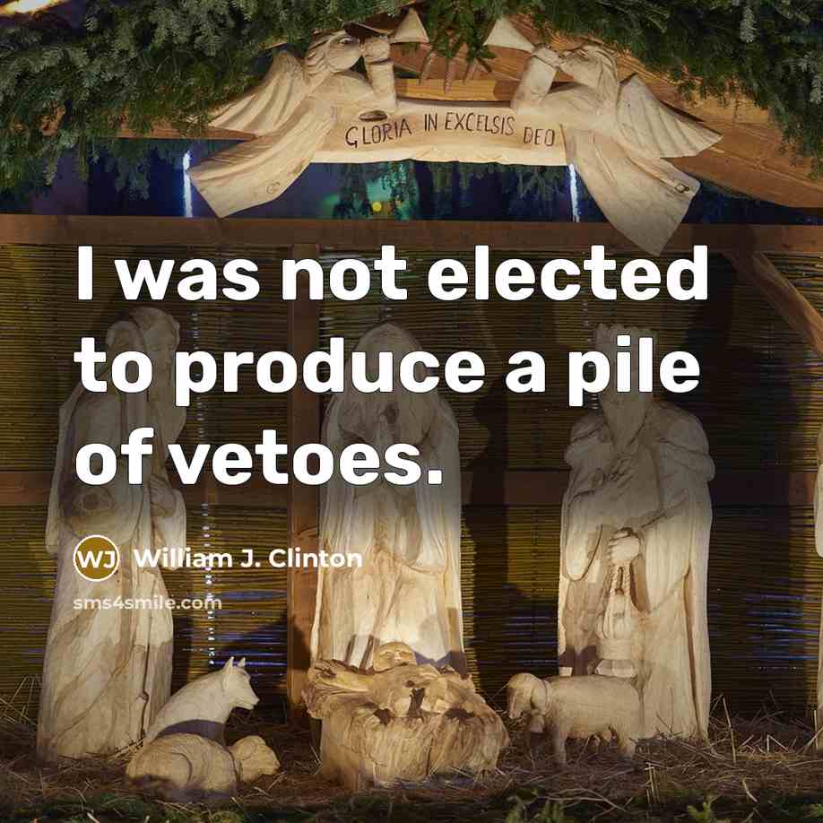 “I was not elected to produce a pile of vetoes.” quote by William J. Clinton