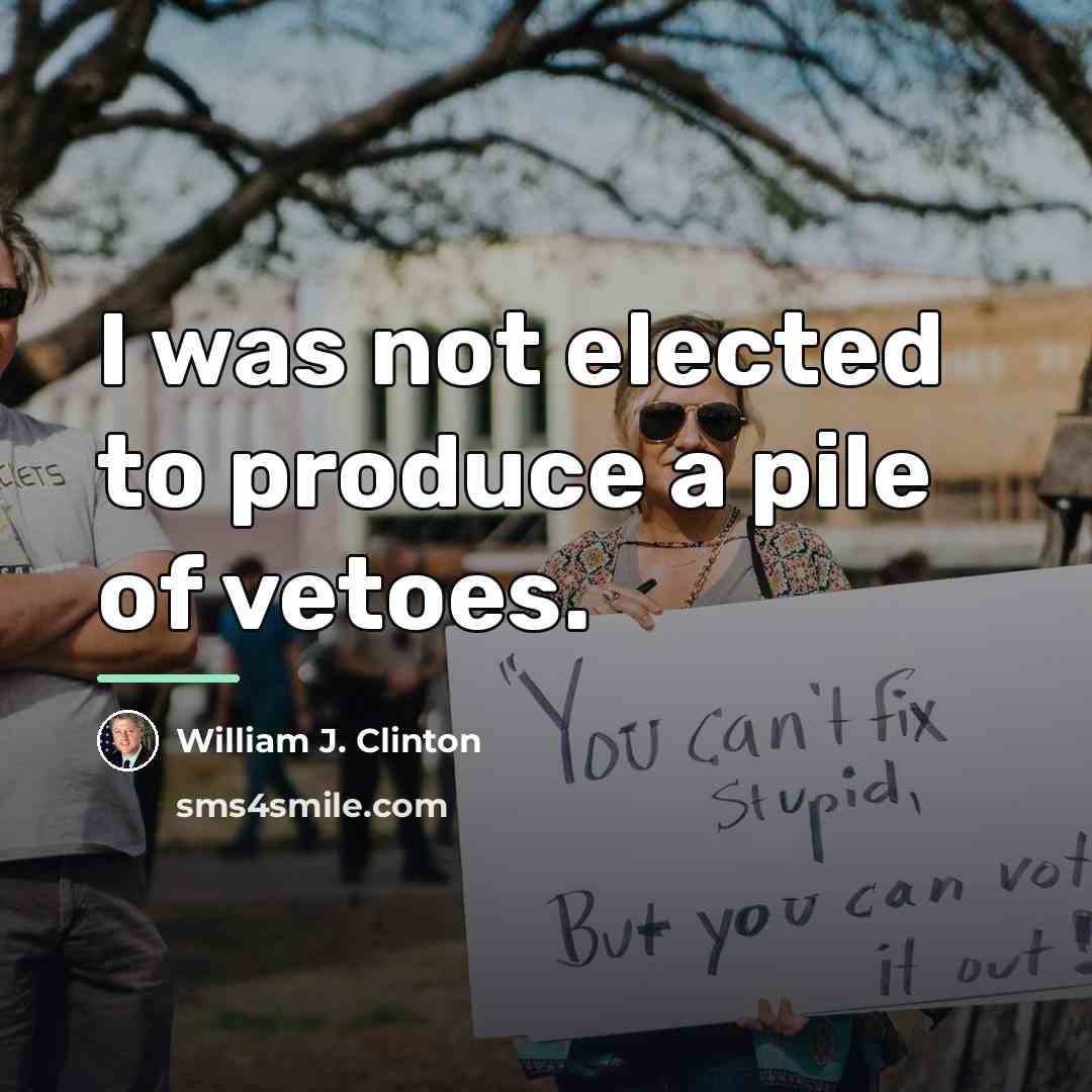 “I was not elected to produce a pile of vetoes.…” quote by William J. Clinton