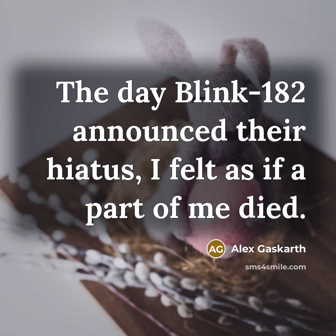 “The day Blink-182 announced their hiatus, I felt as if…” quote by Alex Gaskarth