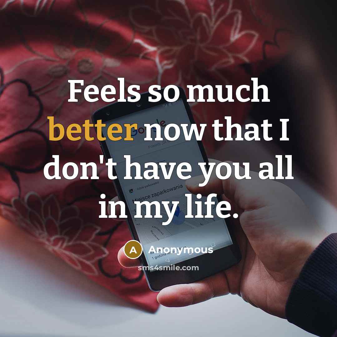 “Feels so much better now that I don't have you all in my life.” quote by Anonymous