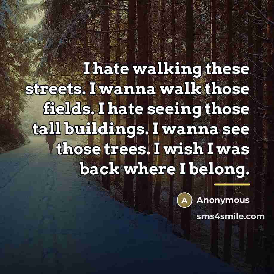 “I hate walking these streets. I wanna walk those fields.…” quote by Anonymous