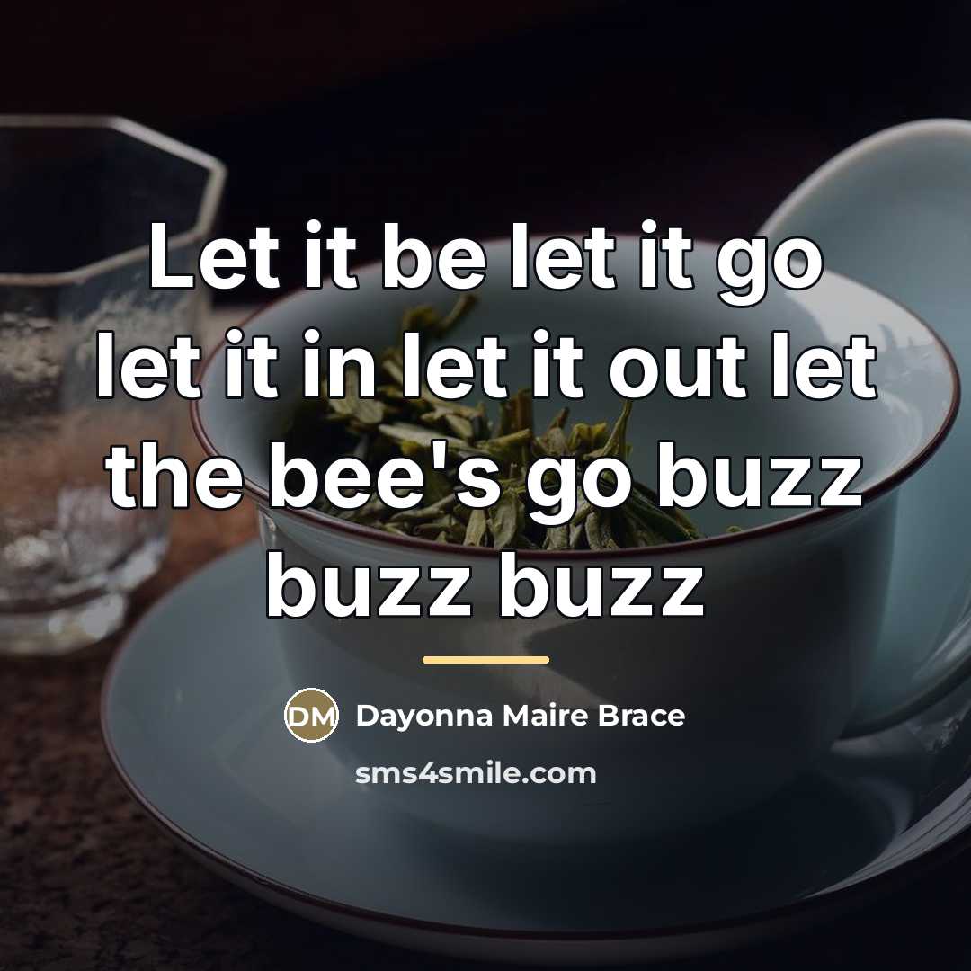 “Let it be let it go let it in let…” quote by Dayonna Maire Brace