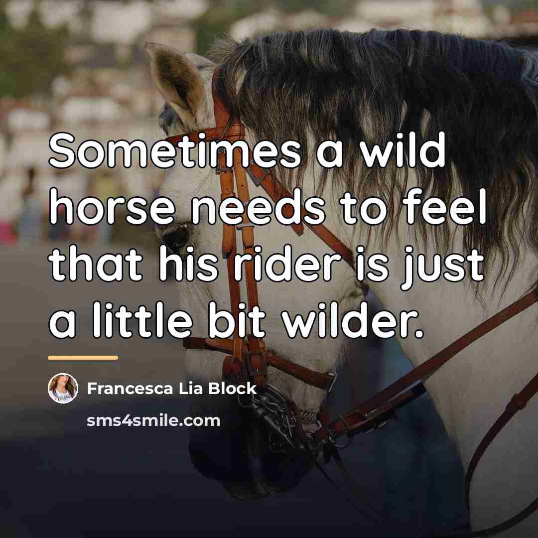 “Sometimes a wild horse needs to feel that his rider…” quote by Francesca Lia Block