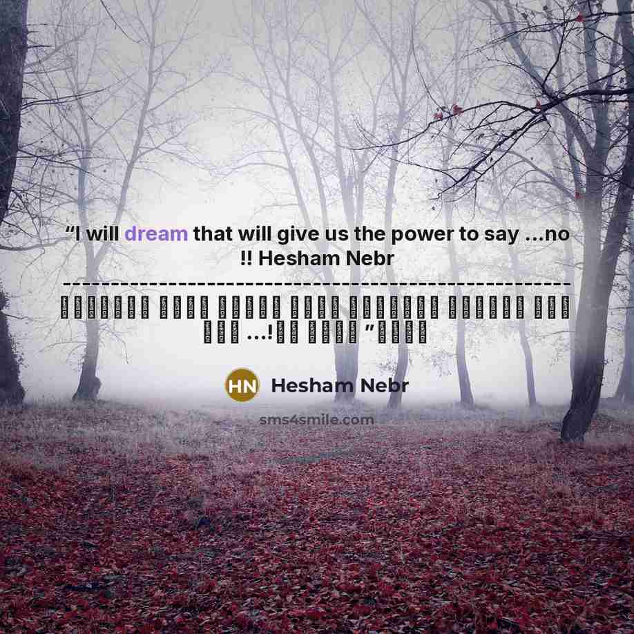“I will dream that will give us the power to say ...no !! Hesham Nebr ----------------------------------------------------- سوف أحلم بذلك الحلم الذي سيعطينا القدرة على قول ... لا! هشام نيبر” quote by Hesham Nebr