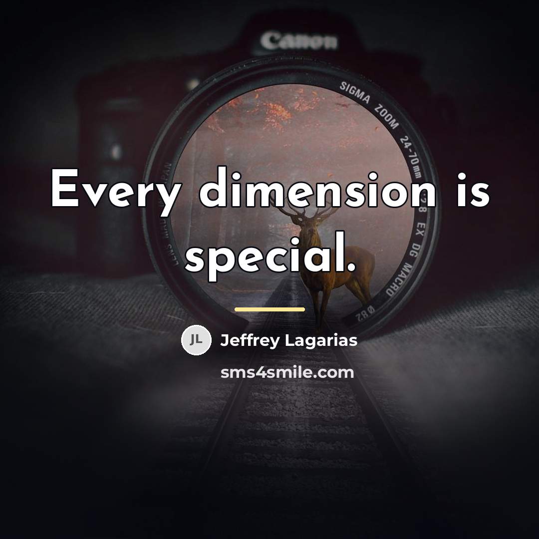 “Every dimension is special.…” quote by Jeffrey Lagarias