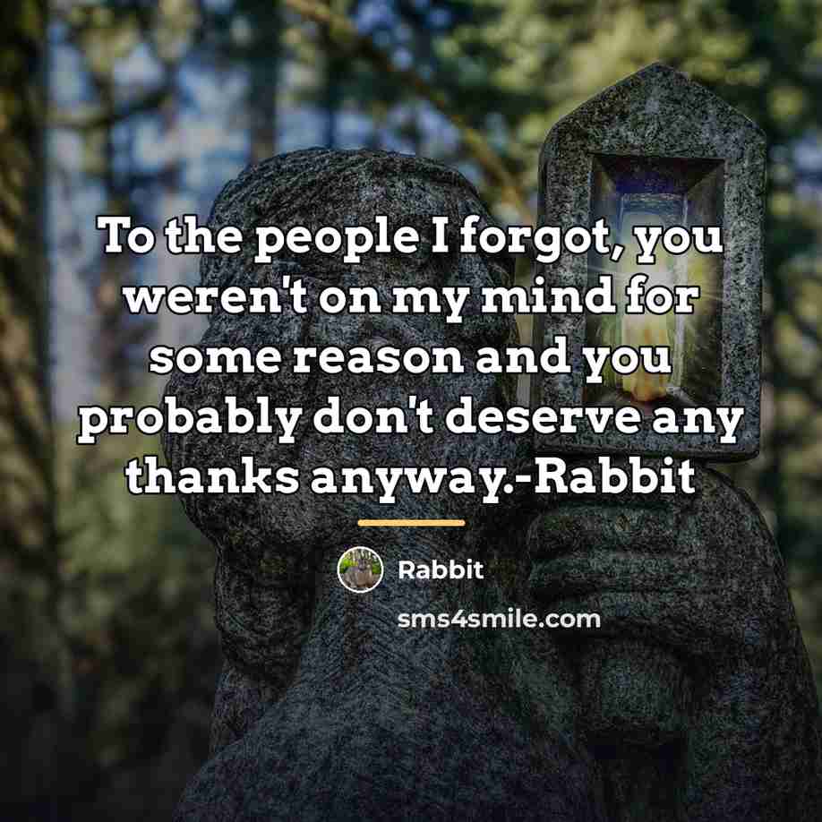 “To the people I forgot, you weren't on my mind…” quote by Rabbit