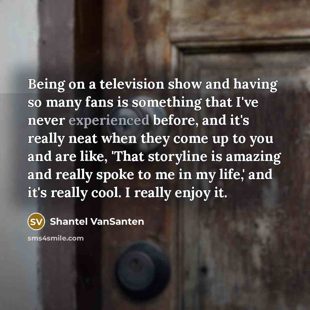 “Being on a television show and having so many fans…” quote by Shantel VanSanten