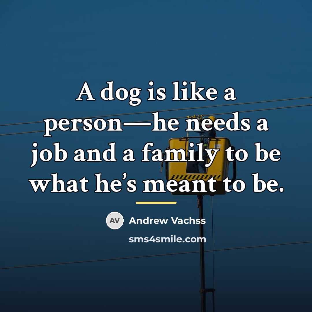 “A dog is like a person—he needs a job and…” quote by Andrew Vachss