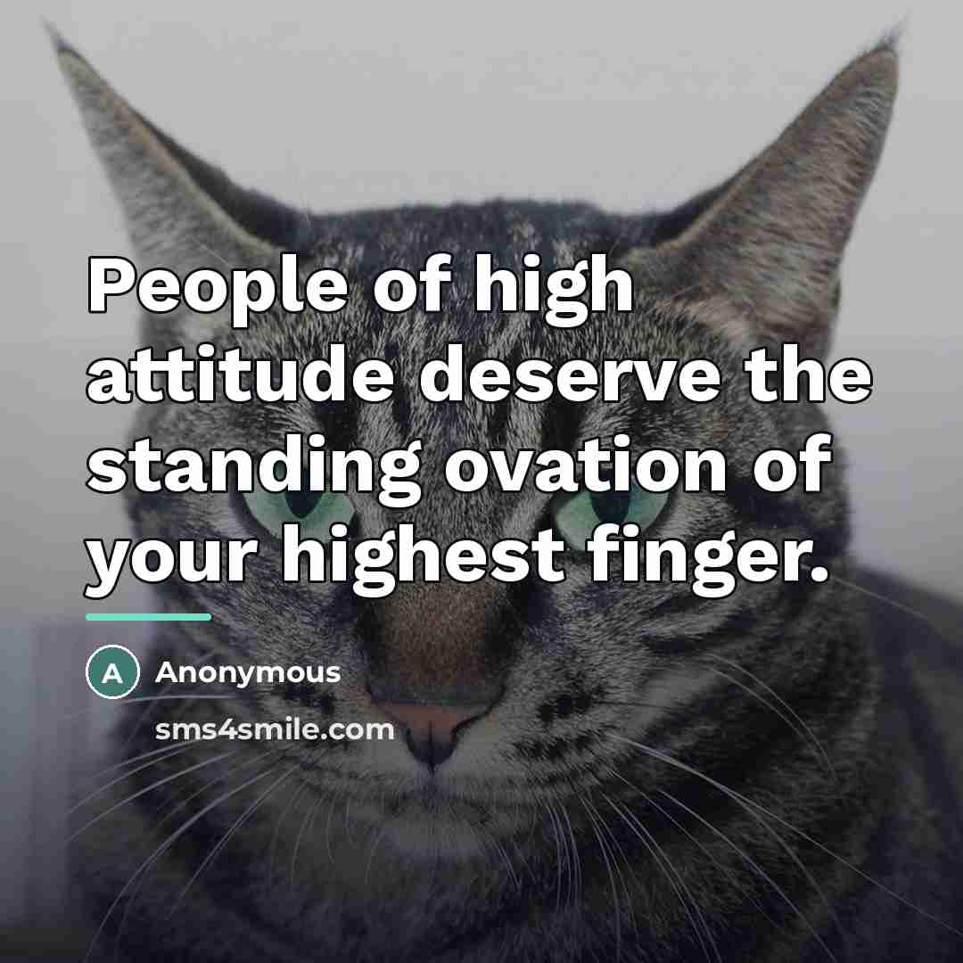 “People of high attitude deserve the standing ovation of your…” quote by Anonymous