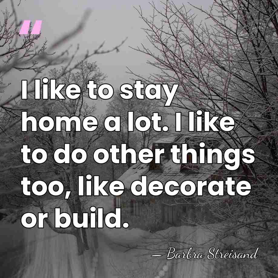 I like to stay home a lot. I like to do other&hellip; - Barbra Streisand