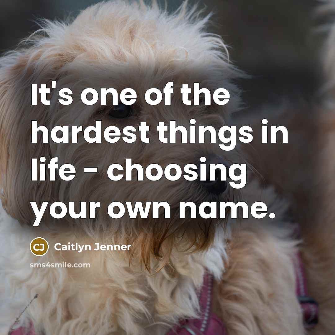 “It's one of the hardest things in life - choosing your own name.” quote by Caitlyn Jenner
