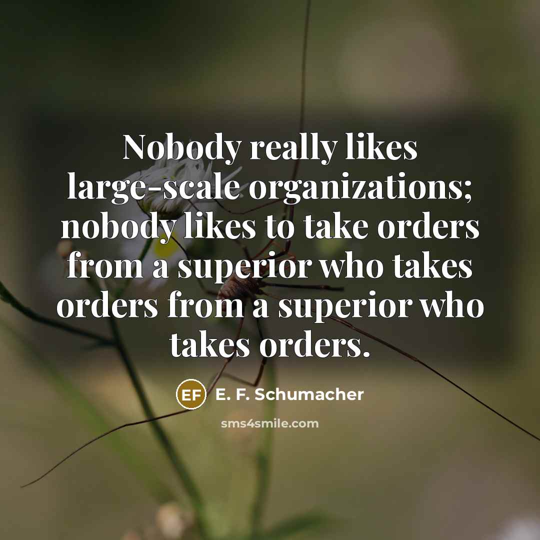 “Nobody really likes large-scale organizations; nobody likes to take orders…” quote by E. F. Schumacher