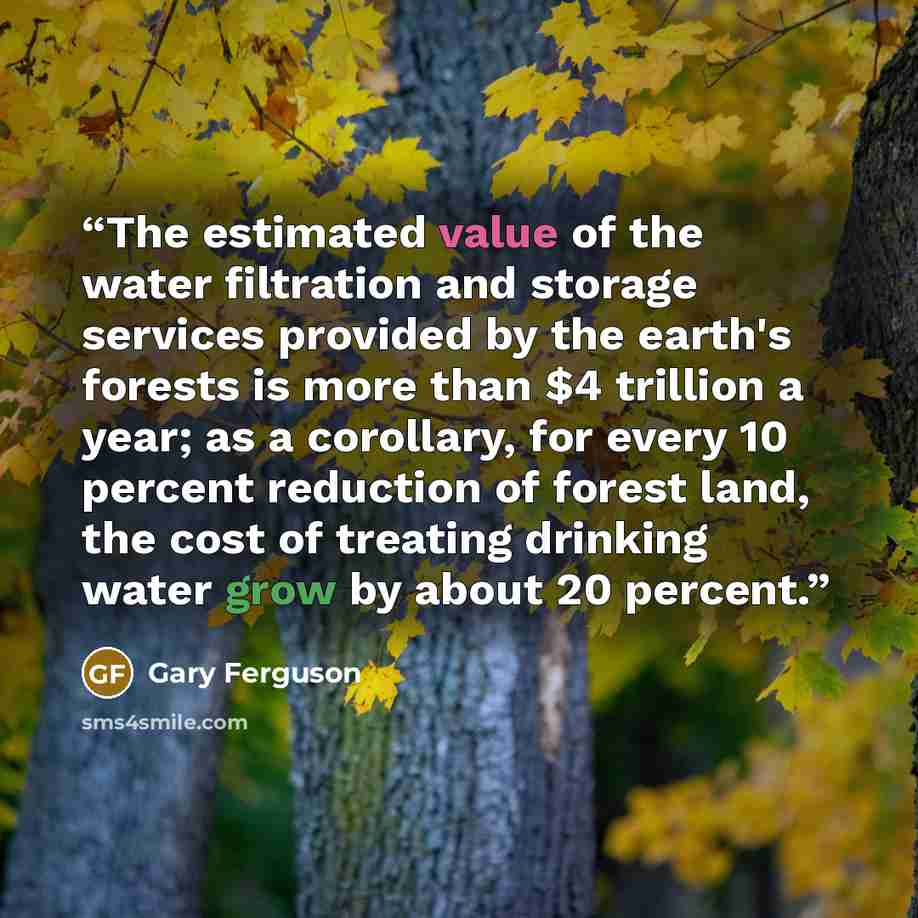 “The estimated value of the water filtration and storage services provided by the earth's forests is more than $4 trillion a year; as a corollary, for every 10 percent reduction of forest land, the cost of treating drinking water grow by about 20 percent.” quote by Gary Ferguson