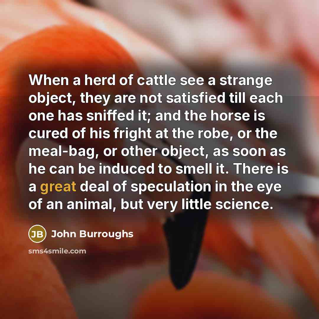 “When a herd of cattle see a strange object, they…” quote by John Burroughs