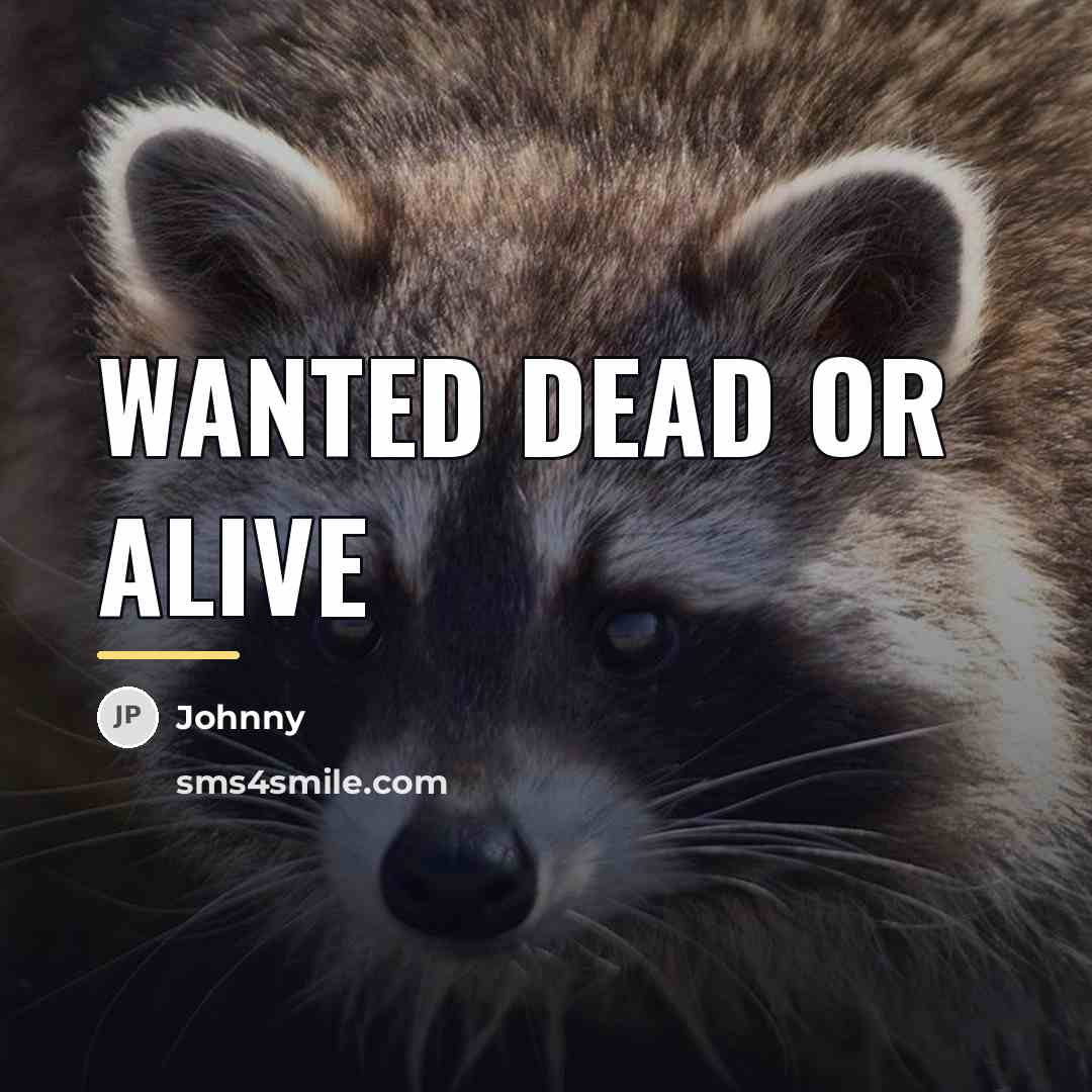 “Wanted Dead or Alive…” quote by Johnny