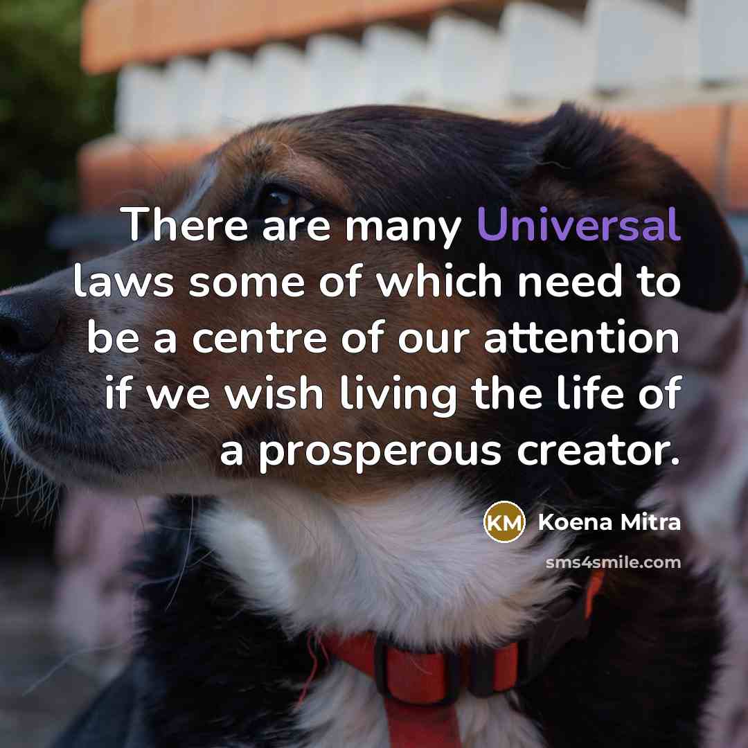 “There are many Universal laws some of which need to…” quote by Koena Mitra