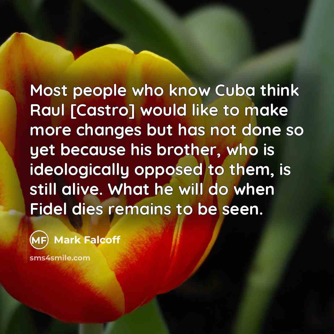 “Most people who know Cuba think Raul [Castro] would like…” quote by Mark Falcoff