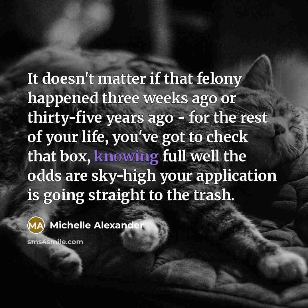 “It doesn't matter if that felony happened three weeks ago…” quote by Michelle Alexander