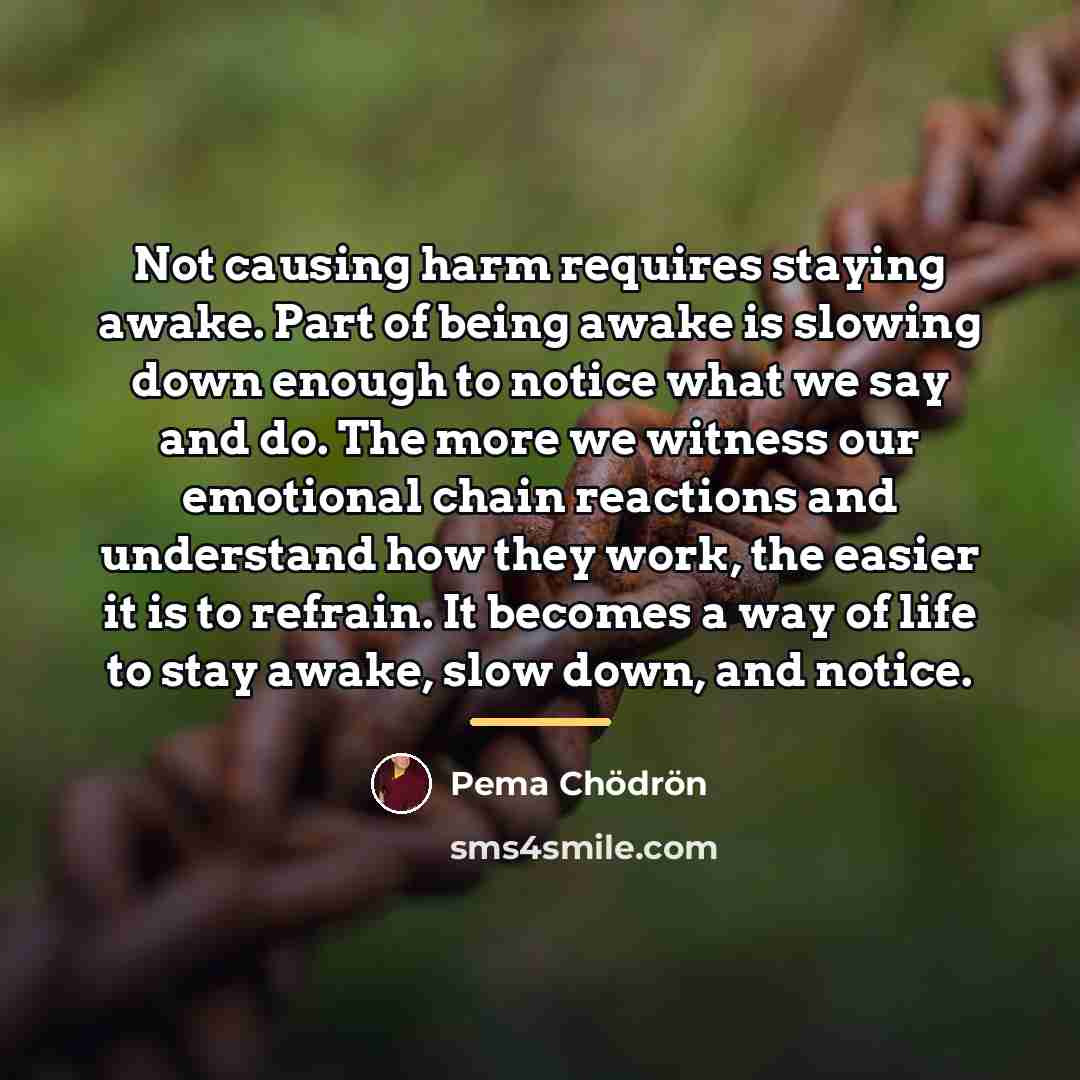 “Not causing harm requires staying awake. Part of being awake…” quote by Pema Chodron