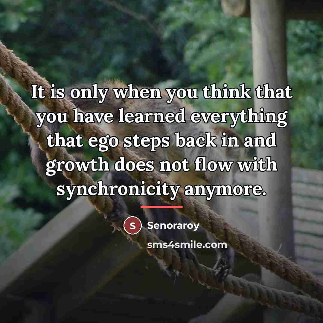 “It is only when you think that you have learned…” quote by Senoraroy
