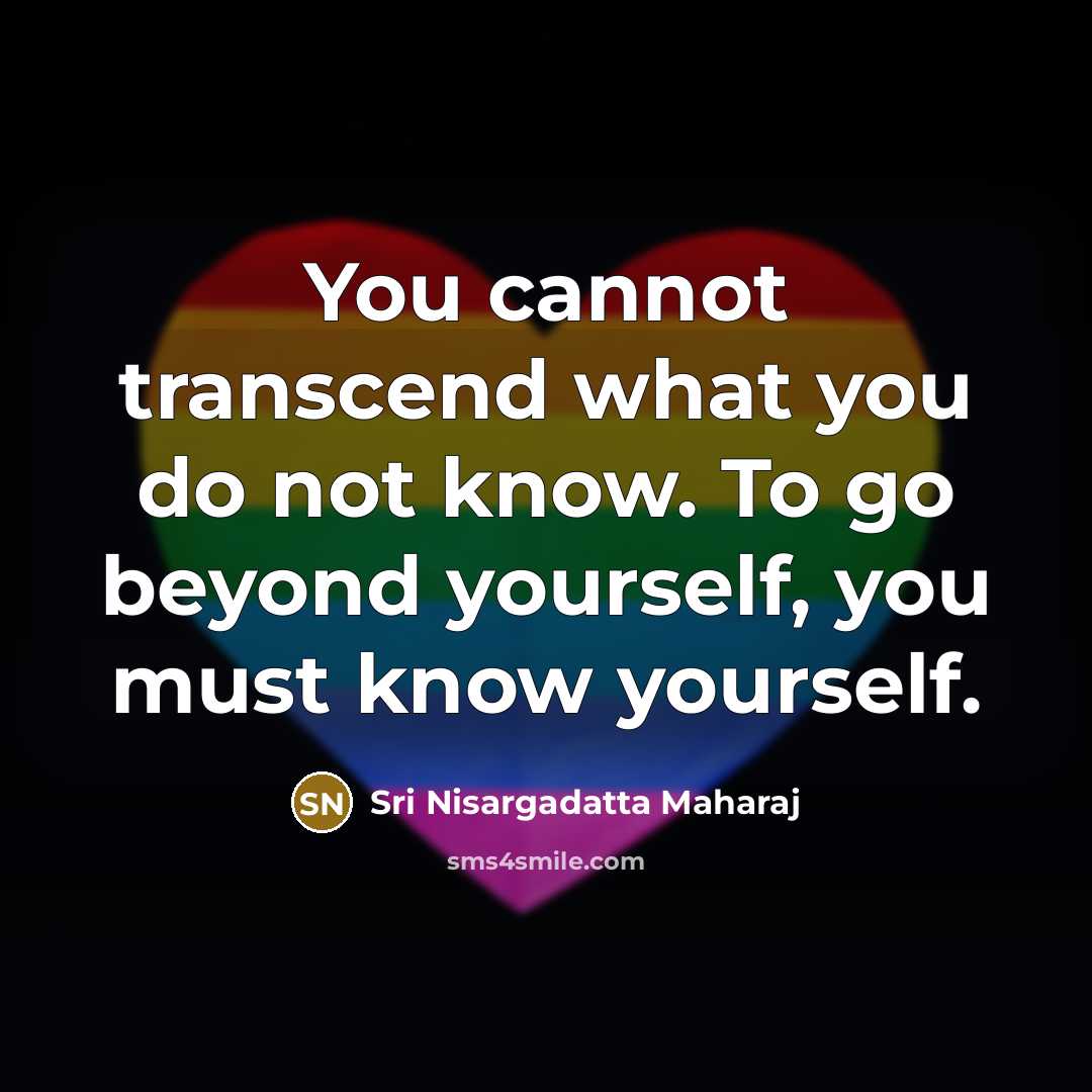 “You cannot transcend what you do not know. To go…” quote by Sri Nisargadatta Maharaj