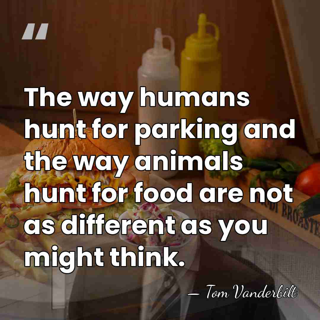 The way humans hunt for parking and the way animals hunt for&hellip; - Tom Vanderbilt