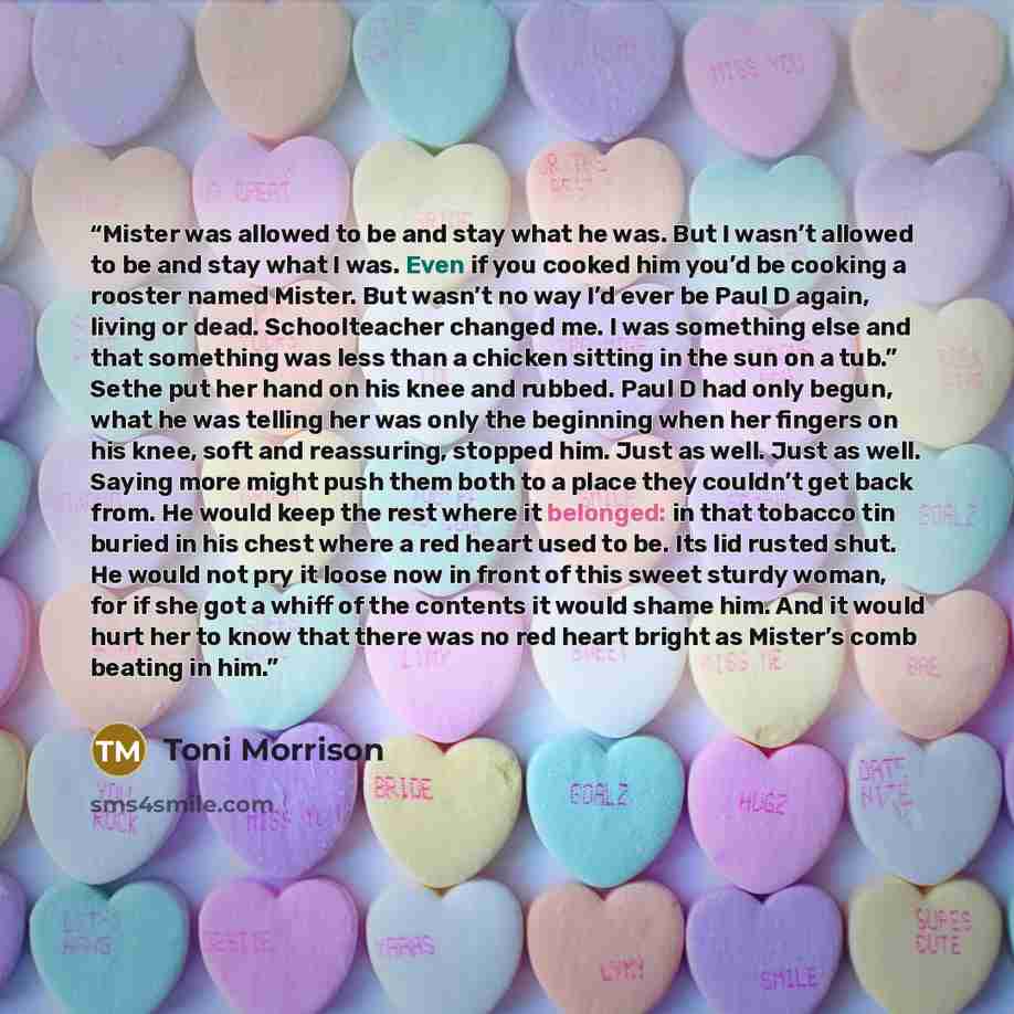 “Mister was allowed to be and stay what he was. But I wasn’t allowed to be and stay what I was. Even if you cooked him you’d be cooking a rooster named Mister. But wasn’t no way I’d ever be Paul D again, living or dead. Schoolteacher changed me. I was something else and that something was less than…” quote by Toni Morrison