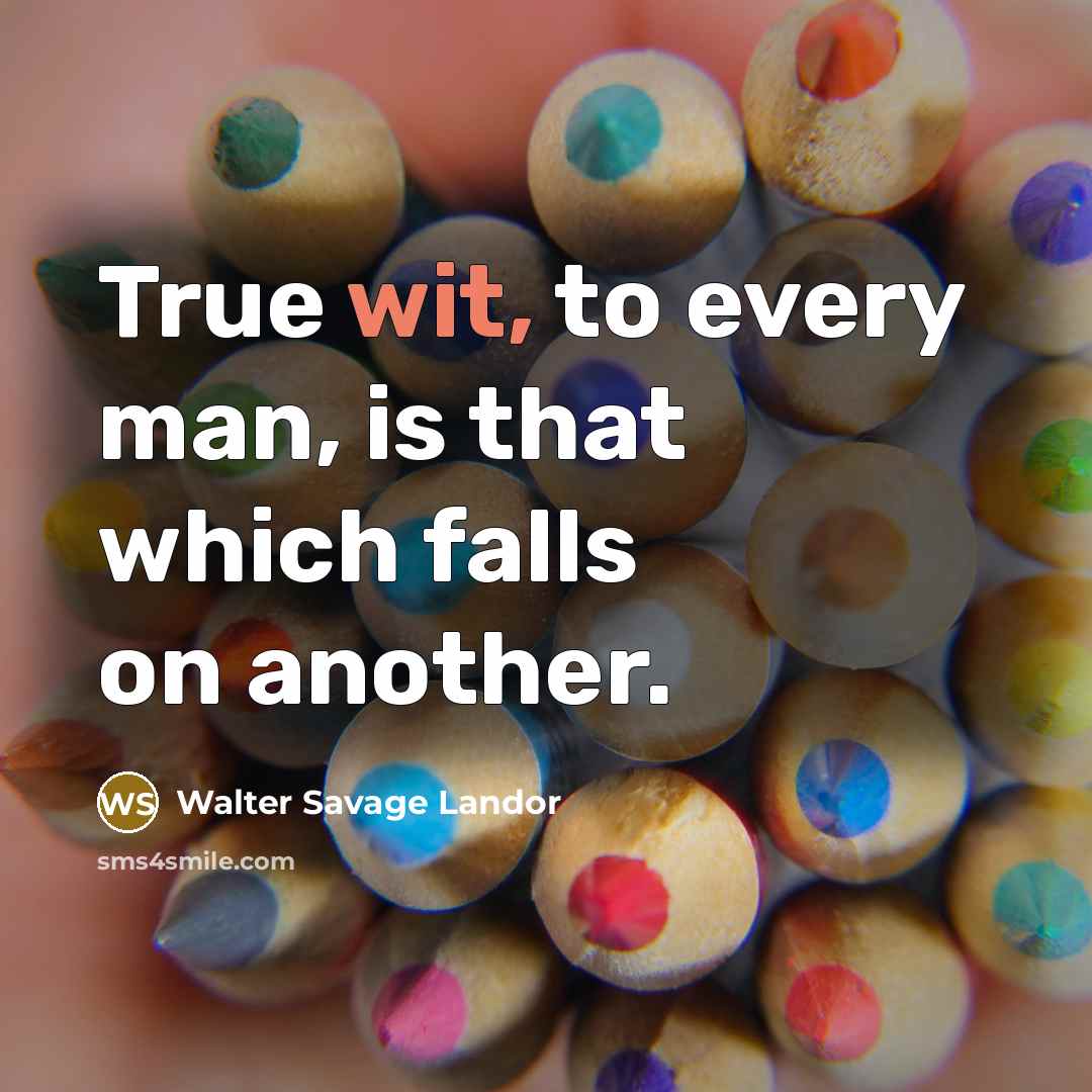 “True wit, to every man, is that which falls on…” quote by Walter Savage Landor