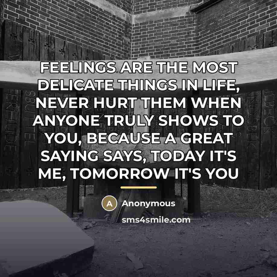 “FEELINGS ARE THE MOST DELICATE THINGS IN LIFE, NEVER HURT…” quote by Anonymous