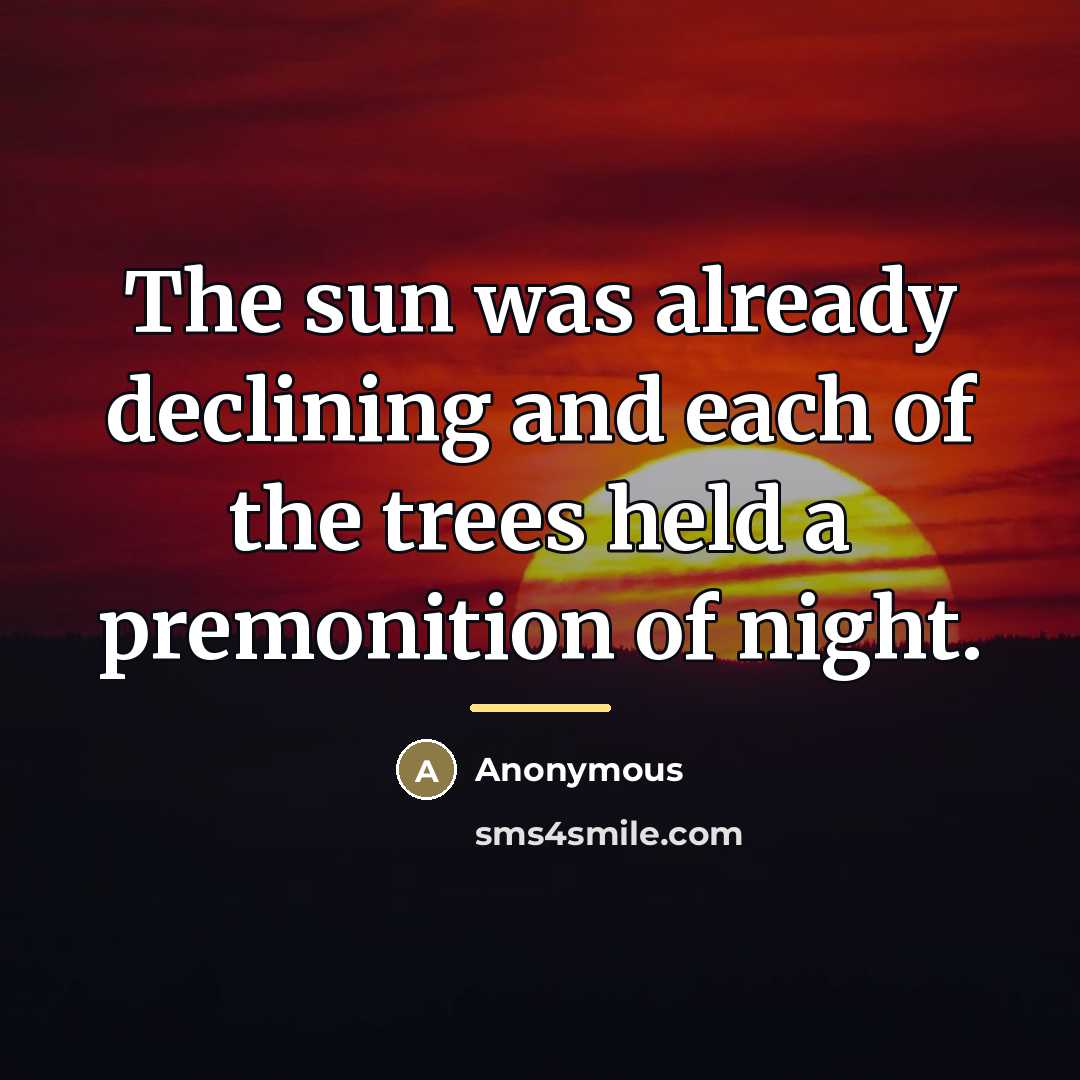 “The sun was already declining and each of the trees…” quote by Anonymous
