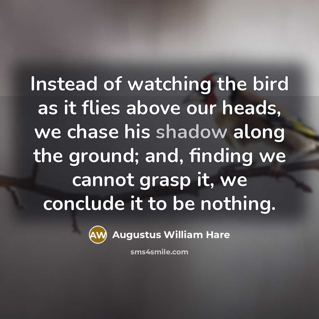 “Instead of watching the bird as it flies above our…” quote by Augustus William Hare