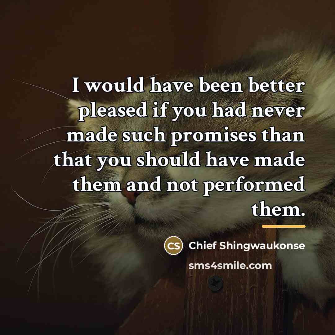 “I would have been better pleased if you had never…” quote by Chief Shingwaukonse